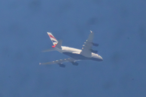 G-XLEF